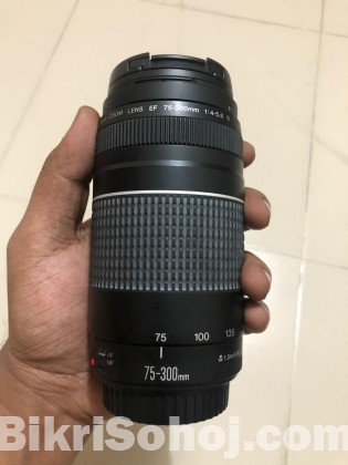 Canon EOS 60D w/ lenses